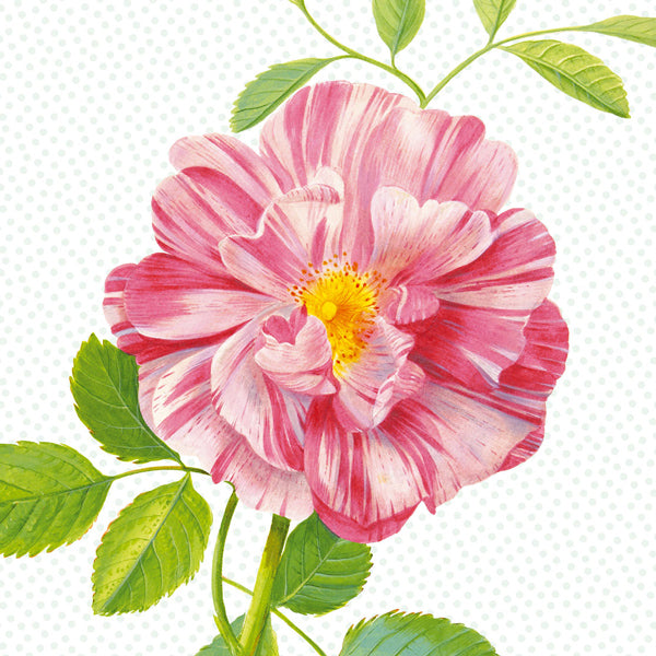 Eijffinger Rice "Everyday Magic" Tapetenwandbild Peony