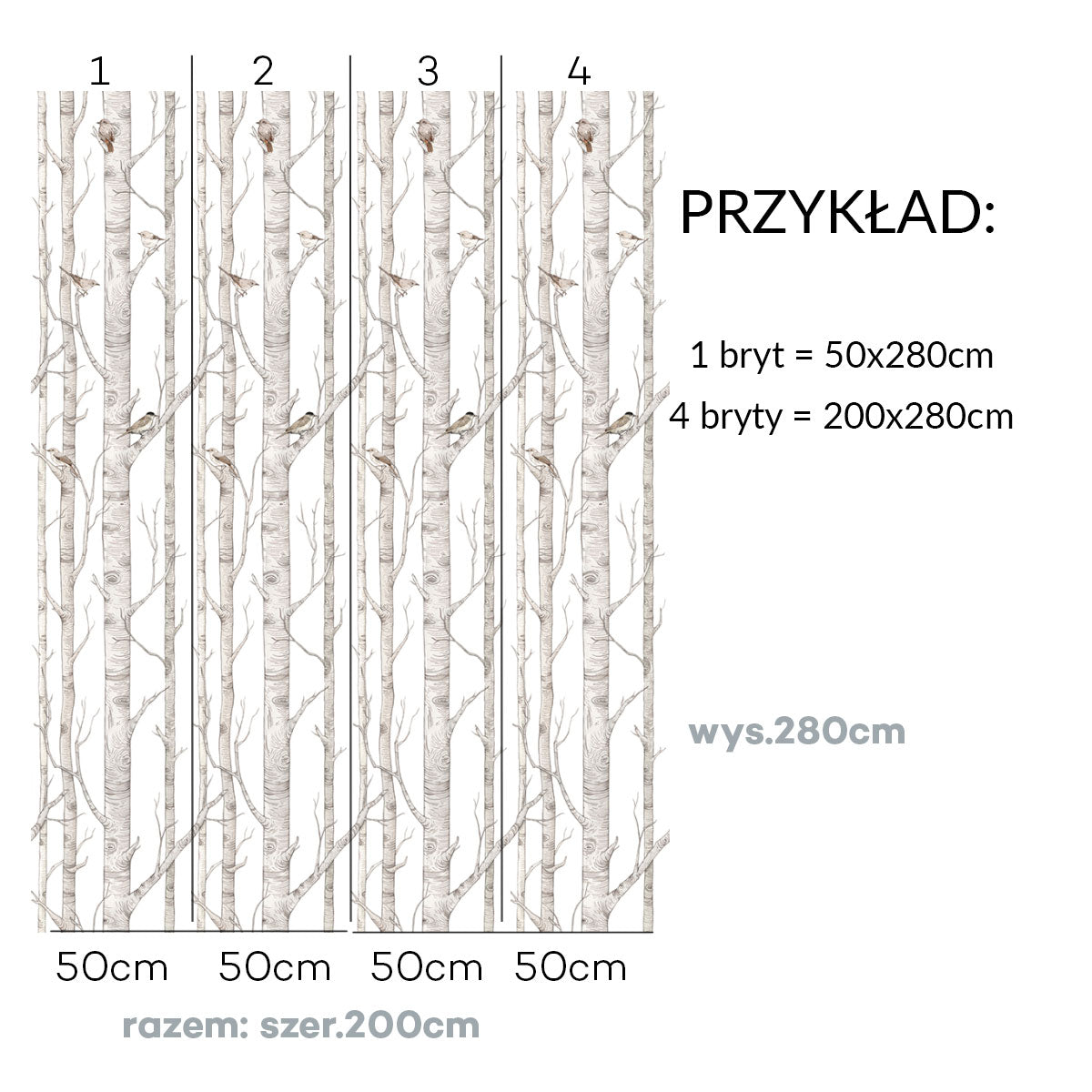 Dekornik Tapete Birkenwald mit Vögeln 50x280cm